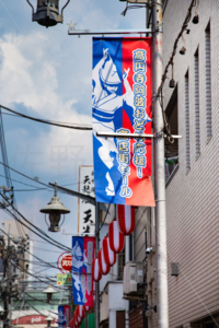 高円寺阿波おどり