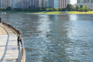 永代橋からの風景