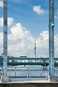永代橋からの風景