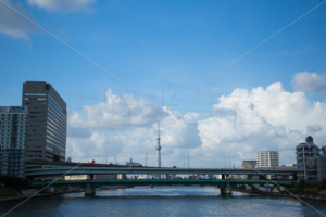 永代橋からの風景