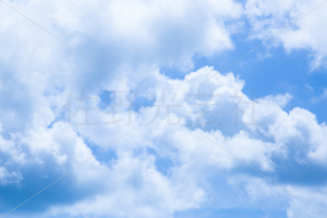 夏の空