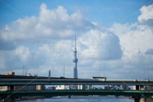 永代橋からの風景