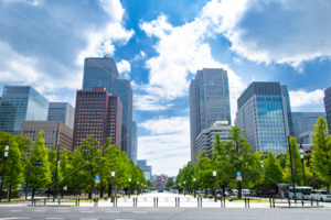 東京駅・行幸通り