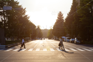 夕日と横断歩道