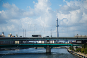 永代橋からの風景