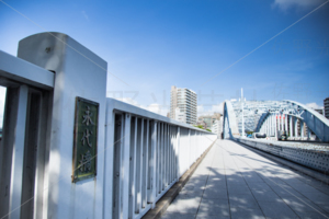 永代橋からの風景
