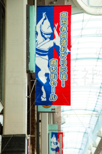 高円寺阿波おどり