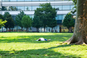 中野セントラルパーク