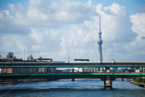 永代橋からの風景