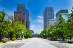 東京駅・行幸通り