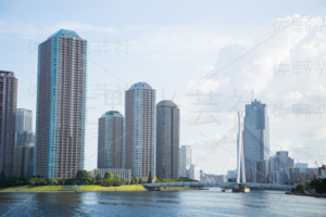 永代橋からの風景