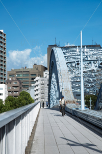 永代橋からの風景