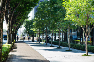 中野セントラルパーク