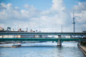 永代橋からの風景