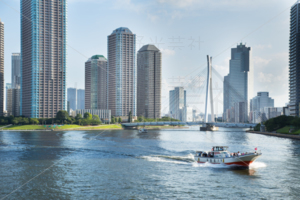 永代橋からの風景