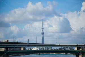永代橋からの風景
