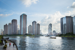 永代橋からの風景