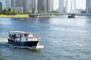 永代橋からの風景