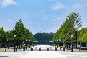 東京駅・行幸通り