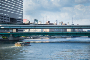 永代橋からの風景