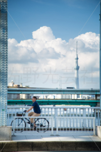 永代橋からの風景
