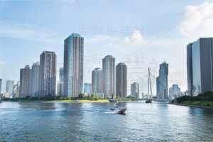 永代橋からの風景