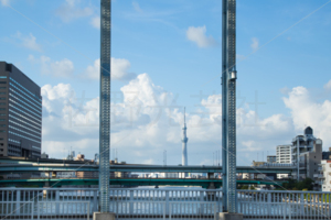 永代橋からの風景